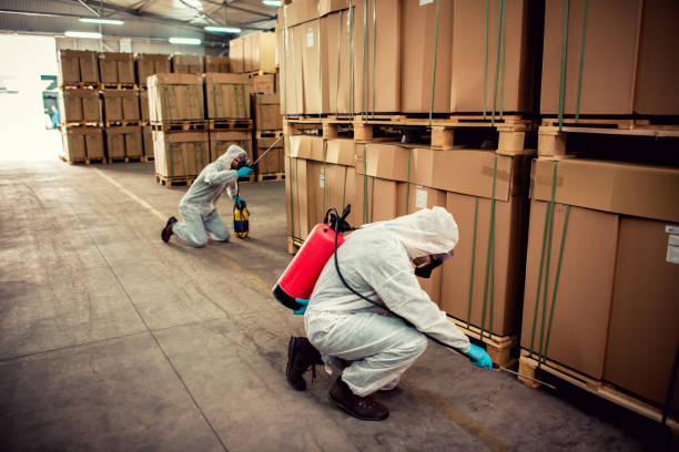 Best Pest Control Near Me  in Englewood, NJ