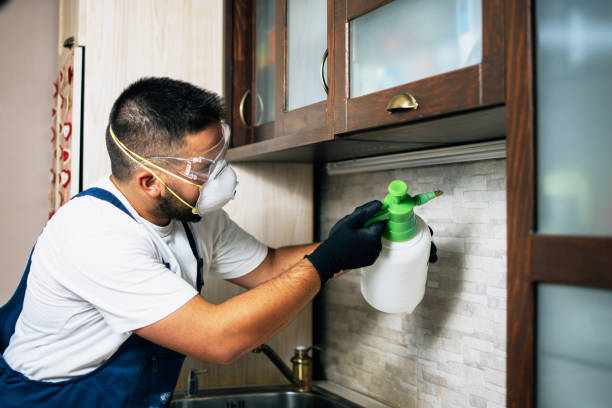 Best Local Pest Control Services  in Englewood, NJ