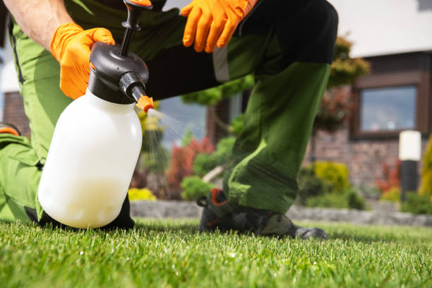 Best Residential Pest Control  in Englewood, NJ