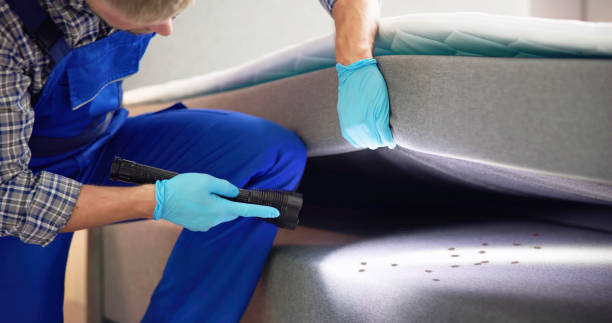 Best Wasp Removal Services  in Englewood, NJ