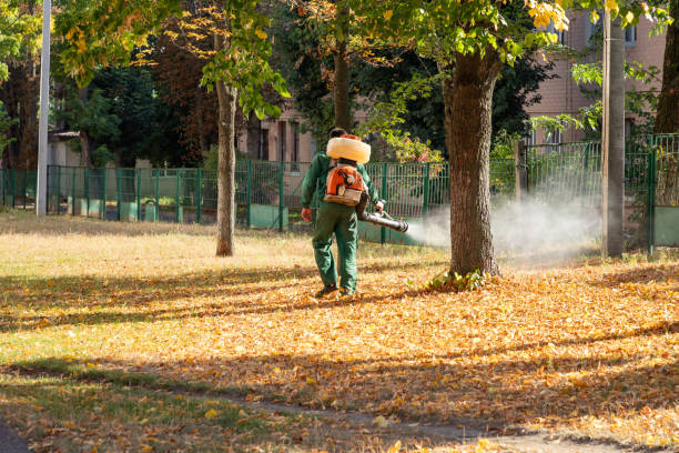 Wildlife Control Services in Englewood, NJ
