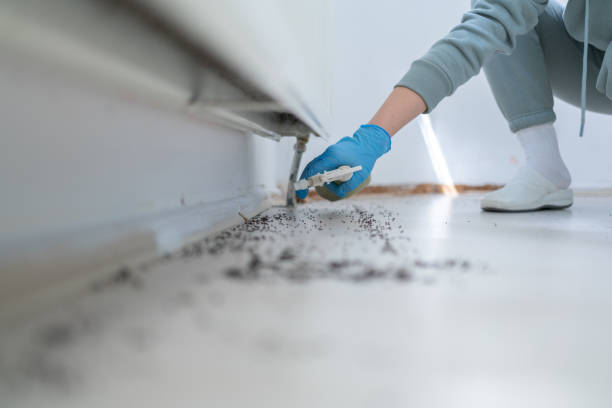 Best Best Pest Control Companies  in Englewood, NJ