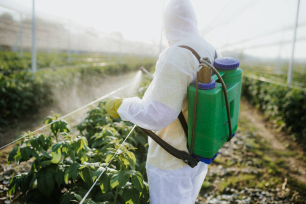 Best Pest Control Near Me in Englewood, NJ